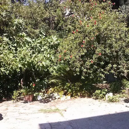 Mare E Monti Bed & Breakfast San Cipriano Picentino